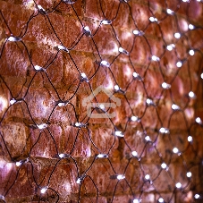 Гирлянда Neon-night Сеть 