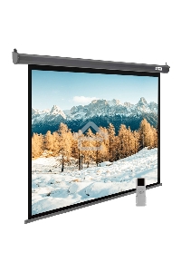Экран Cactus 188x300см SIlverMotoExpert CS-PSSME-300X188-DG 16:10 настенно-потолочный рулонный тёмно-серый (моторизованный привод)