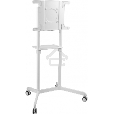 Стойка для телевизора Cactus CS-ST1146WT белый 37