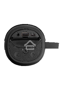 Караоке-система ExeGate Bro 310  Bluetooth черный