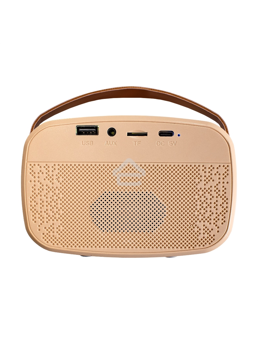 Караоке-система ExeGate Bro 330  Bluetooth 8 Вт бежевый
