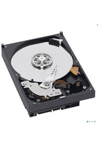 Жесткий диск Western Digital 1Tb 7200rpm WD10EZEX Original SATA-III Caviar Blue 64Mb 3.5
