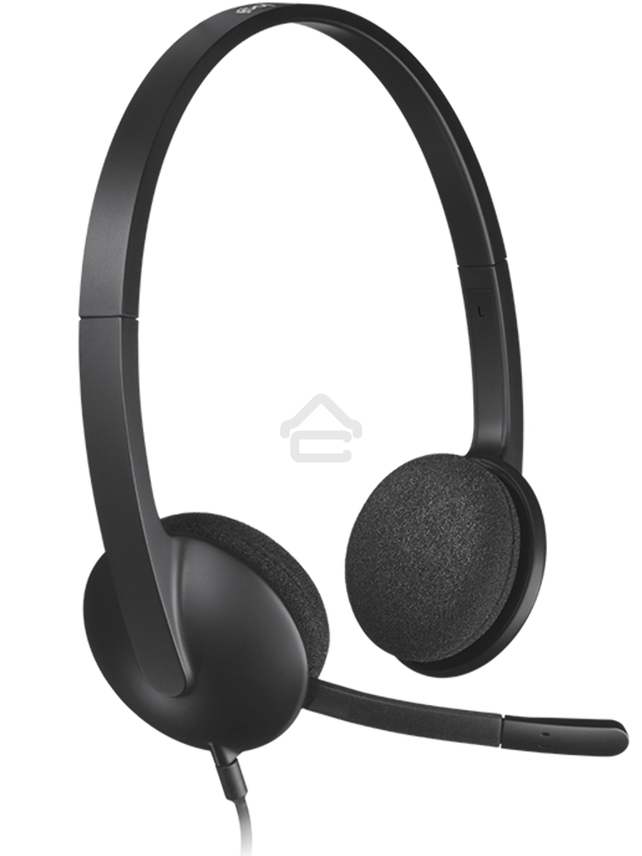 Гарнитура Logitech Headset H340 USB graphite