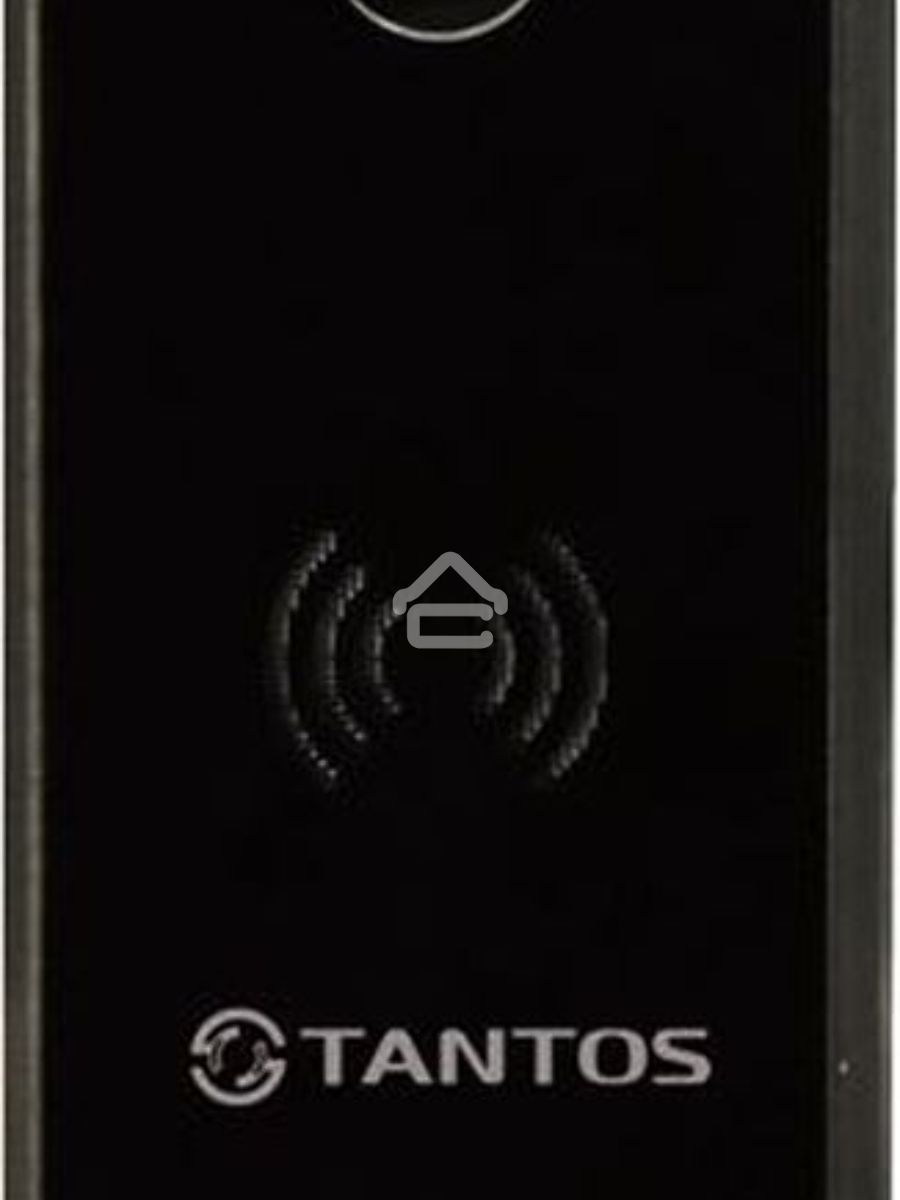 Видеопанель Tantos iPanel 2+, цветная, накладная, черный