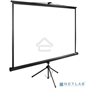 Экран Cactus 160x160см TriExpert CS-PSTE-160x160-BK 1:1 напольный рулонный