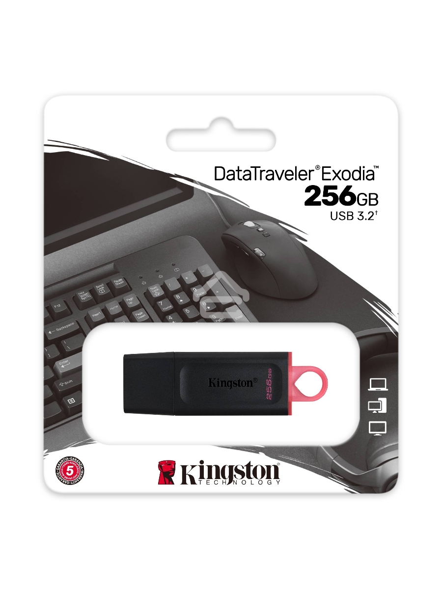 Флеш диск KINGSTON 256GB USB3.2 Gen1 DataTraveler Exodia (Black + Pink)