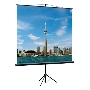 Экран на треноге Lumien 150x150см Eco View LEV-100101 1:1 напольный рулонный