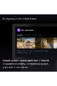 Умная колонка с дисплеем Яндекс Станция Дуо Макс, Zigbee, 60Вт, с голосовым ассистентом Алиса на YaGPT, зеленый