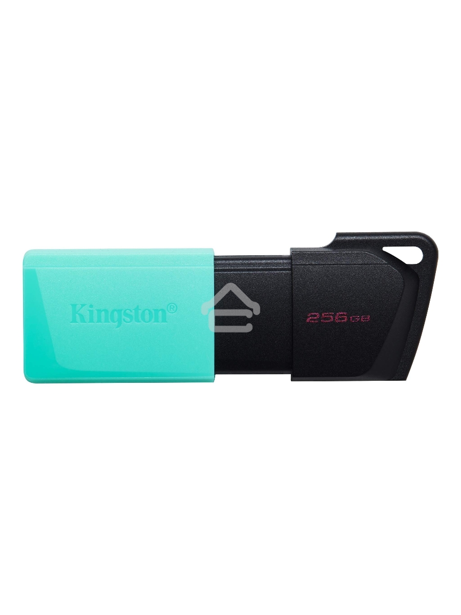 Флеш диск Kingston 256Gb DataTraveler DTXM DTXM/256GB USB3.2 черный/зеленый