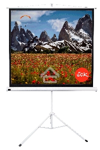 Экран 150x150см TriScreen 1:1 напольный рулонный белый  84' Matt White (MW), черный корпус