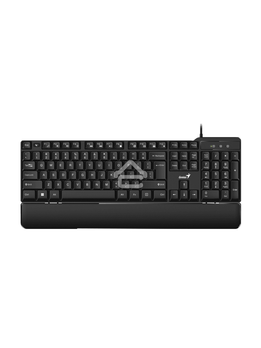 Клавиатура Genius keyboard KB-100XP проводная, USB, чёрный