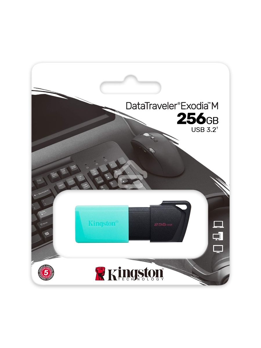 Флеш диск Kingston 256Gb DataTraveler DTXM DTXM/256GB USB3.2 черный/зеленый