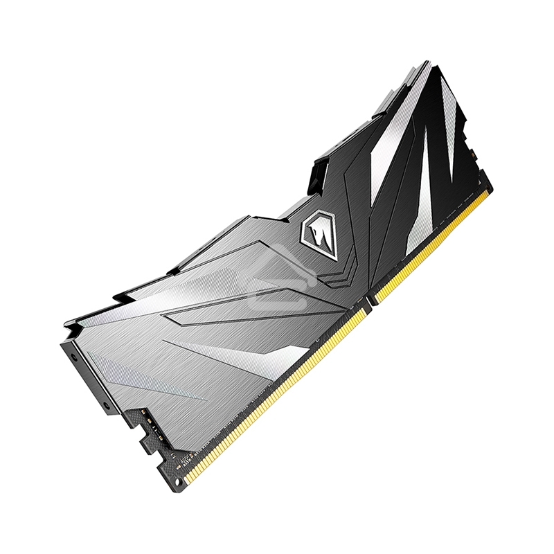 Оперативная память NETAC, DDR4, 16GB (1x16GB), 2666MHz, CL19, DIMM, с радиатором, черный