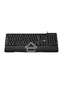 Клавиатура Genius keyboard KB-100XP проводная, USB, чёрный
