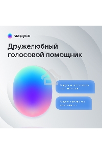 Умная колонка VK Капсула Мини 5Вт, с голосовым ассистентом Маруся, с LED-часами, светло-серый