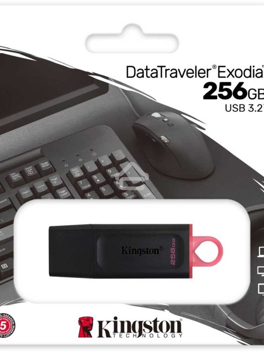 Флеш диск KINGSTON 256GB USB3.2 Gen1 DataTraveler Exodia (Black + Pink)