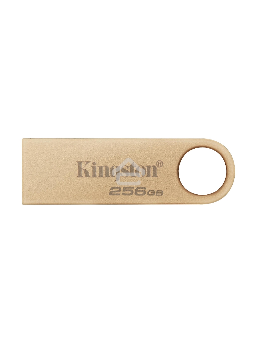 Флеш диск Kingston 256GB DataTraveler SE9 DTSE9G3/256GB USB3.0 серебристый