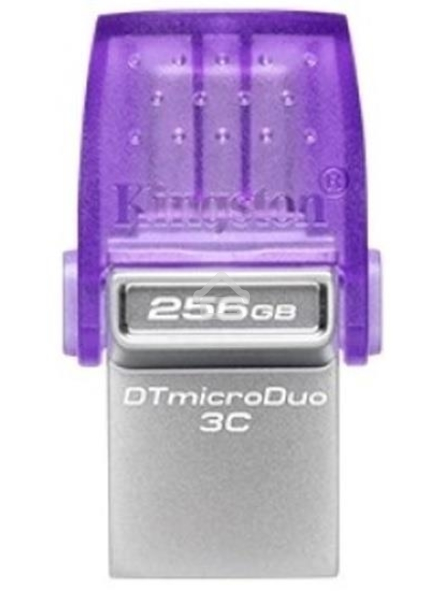 Флеш диск Kingston USB3.2 256GB DTDUO3CG3/256GB