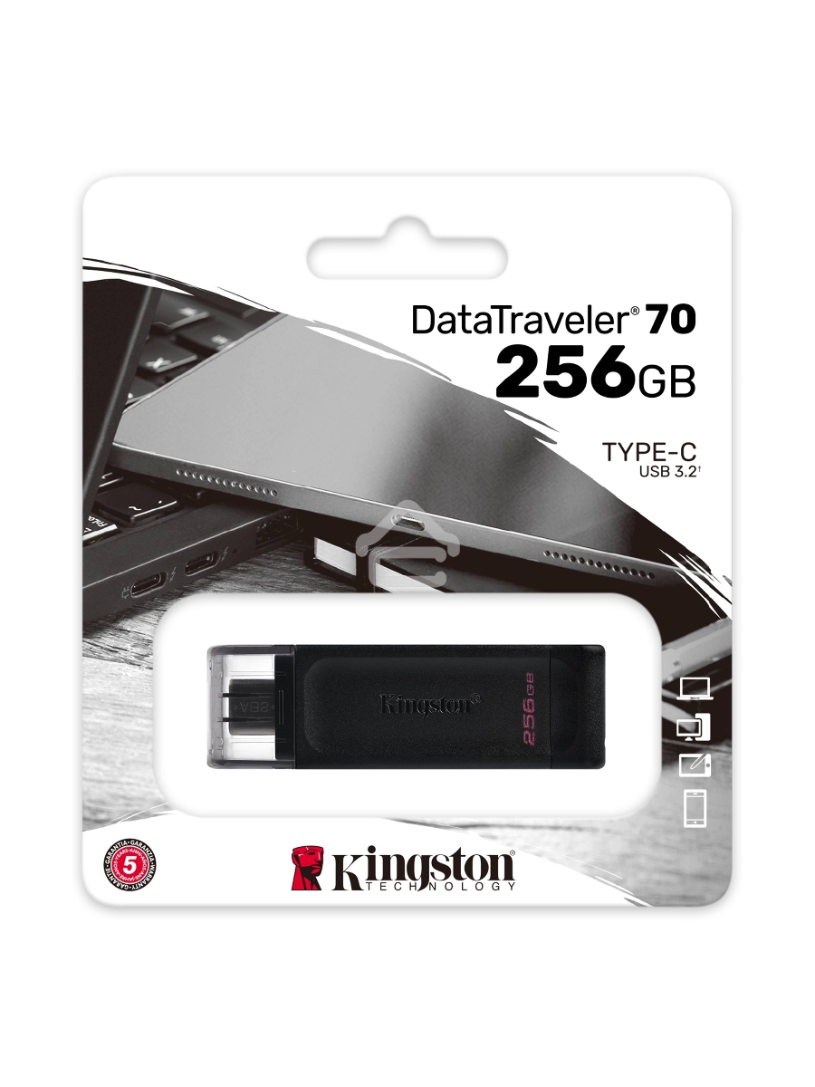 Флеш диск Kingston 256Gb DataTraveler 70 DT70/256GB USB Type-C 3.2 черный