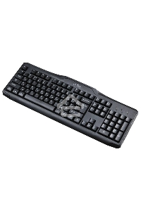 Клавиатура Oklick 170M черный USB