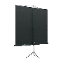 Экран на треноге Lumien 160x160см Eco View LEV-100105 1:1 напольный рулонный