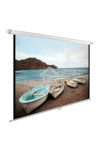 Экран Cactus 138x220см WallExpert CS-PSWE-220x138-WT 16:10 настенно-потолочный рулонный белый