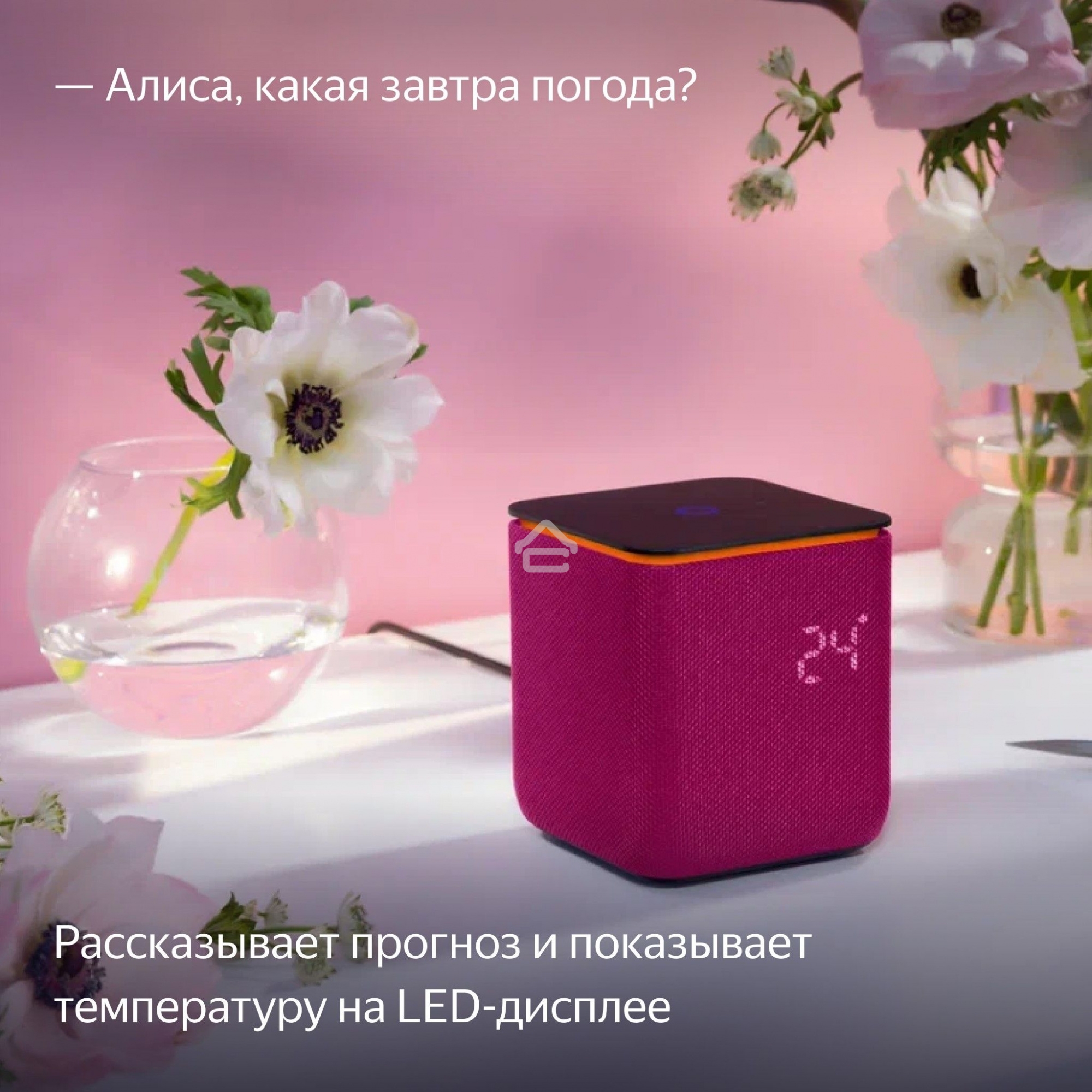 Умная колонка Яндекс Станция Миди, ZigBee, 24Вт, с голосовым ассистентом Алиса на YaGPT, малиновый