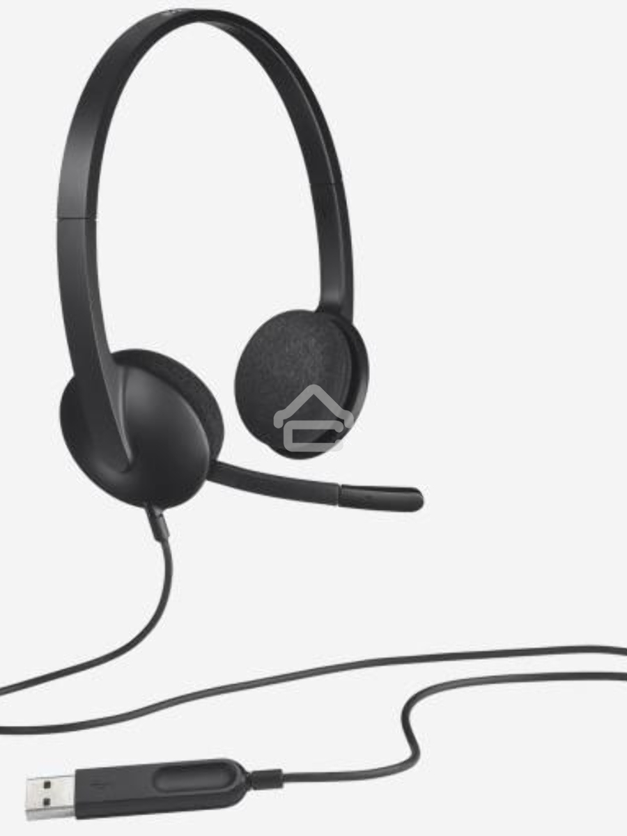 Гарнитура Logitech Headset H340 USB graphite