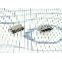 Разъем Micro USB для Samsung SGH-G600