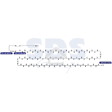 Гирлянда Neon-night 