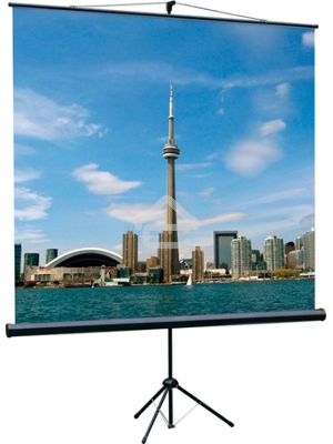 Экраны LUMIEN Lumien Экран на треноге 180x180 см Eco View LEV-100102 1:1 с возможностью настенного крепления