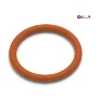 Уплотнитель поршня Franke 38x5 1L296241