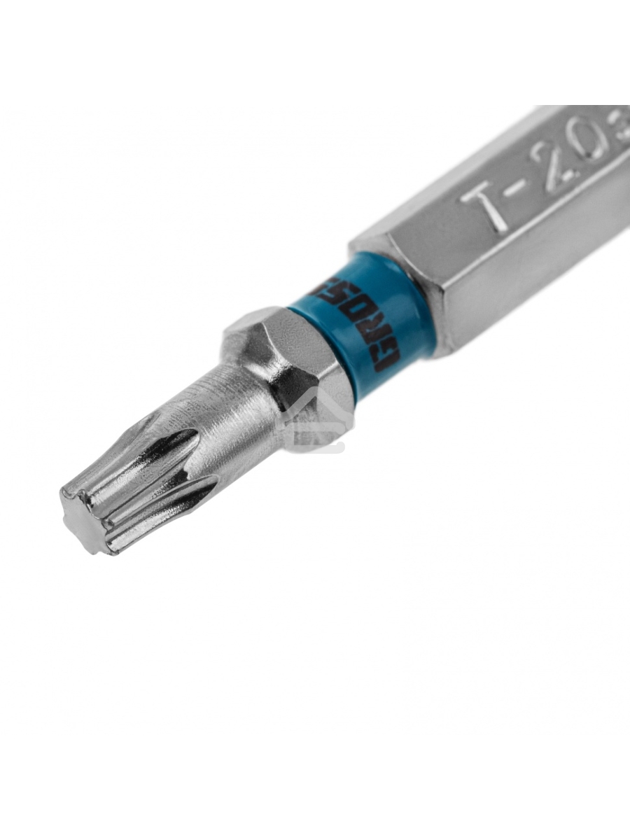 Набор бит TORX 20х50, сталь S2, 10 шт. Gross