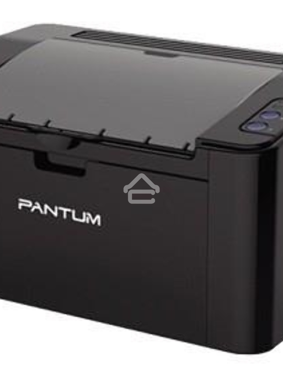 Принтер лазерный Pantum P2207, A4, ч/б, печ. до 20 стр/мин, 1200x1200 dpi, USB