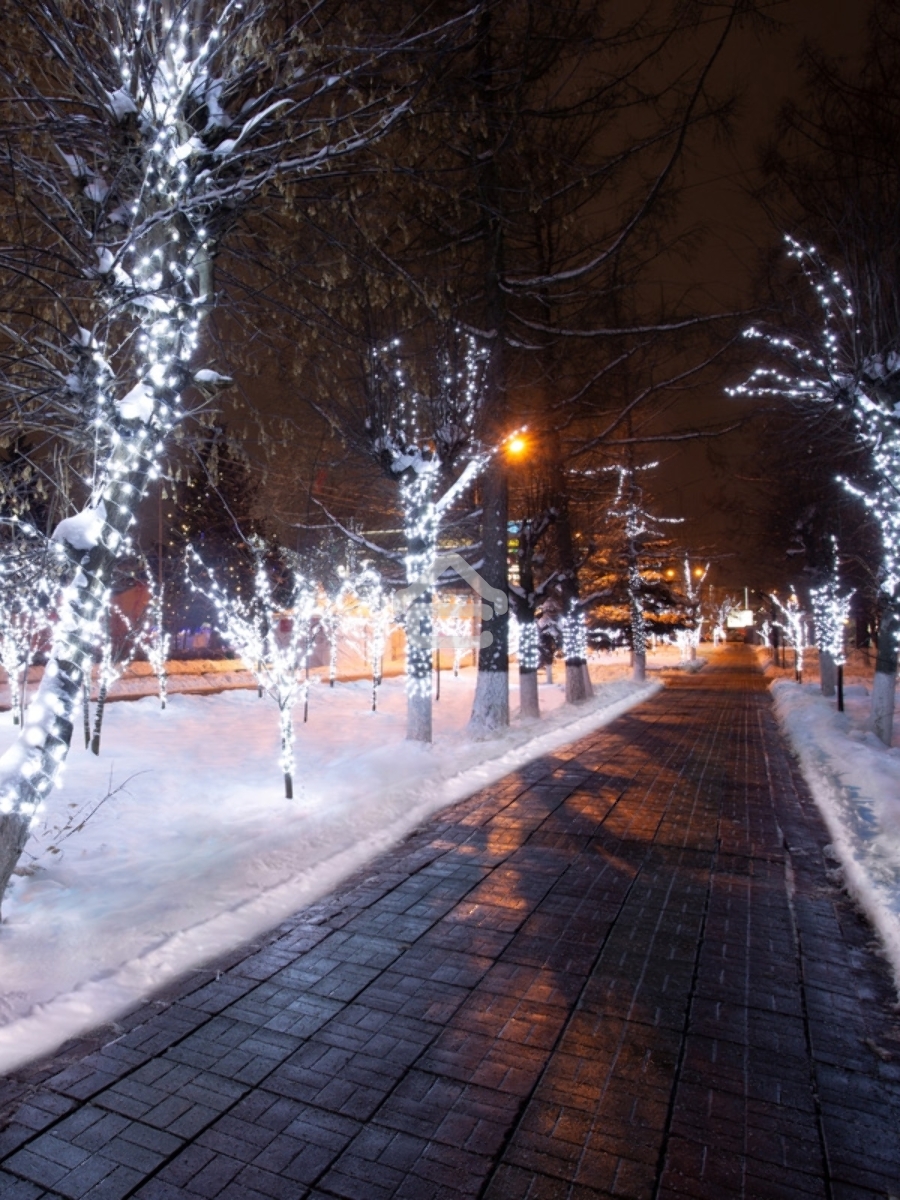Гирлянда «LED Клип-лайт» 12 V, прозрачный ПВХ, 150 мм, цвет диодов Белый Flashing (Белый)