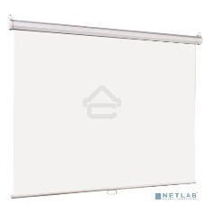 Экран Lumien 214x214см Eco Picture LEP-100110 1:1 настенно-потолочный рулонный