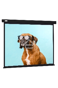 Экран Cactus 183x244см Wallscreen CS-PSW-183X244-BK 4:3 настенно-потолочный рулонный черный