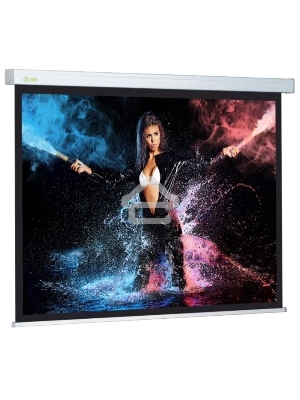 Экран Cactus 180x180см Wallscreen CS-PSW-180x180 1:1 настенно-потолочный рулонный белый