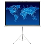 Экран Cactus 150x150см Triscreen CS-PST-150x150 1:1 напольный рулонный белый