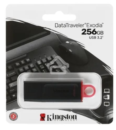 Флешка USB R/W R/W Kingston 256GB USB3.2 Gen1 DataTraveler Exodia (Black + Pink)