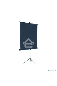 Экран на треноге Lumien 213x213см Master View LMV-100104 1:1 напольный рулонный