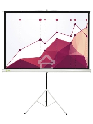 Экран Cactus 180x180см Triscreen CS-PST-180x180 1:1 напольный рулонный белый