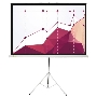 Экран Cactus 180x180см Triscreen CS-PST-180x180 1:1 напольный рулонный белый