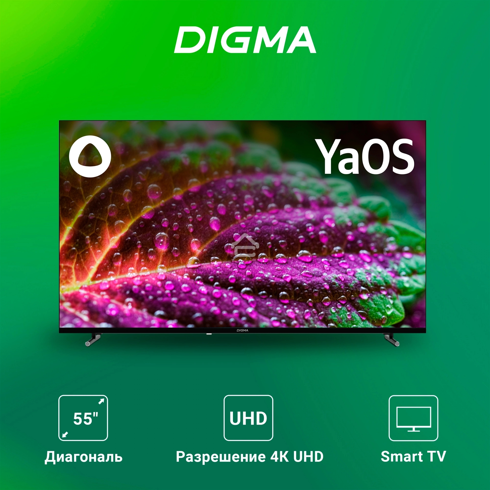 Телевизор Digma 55