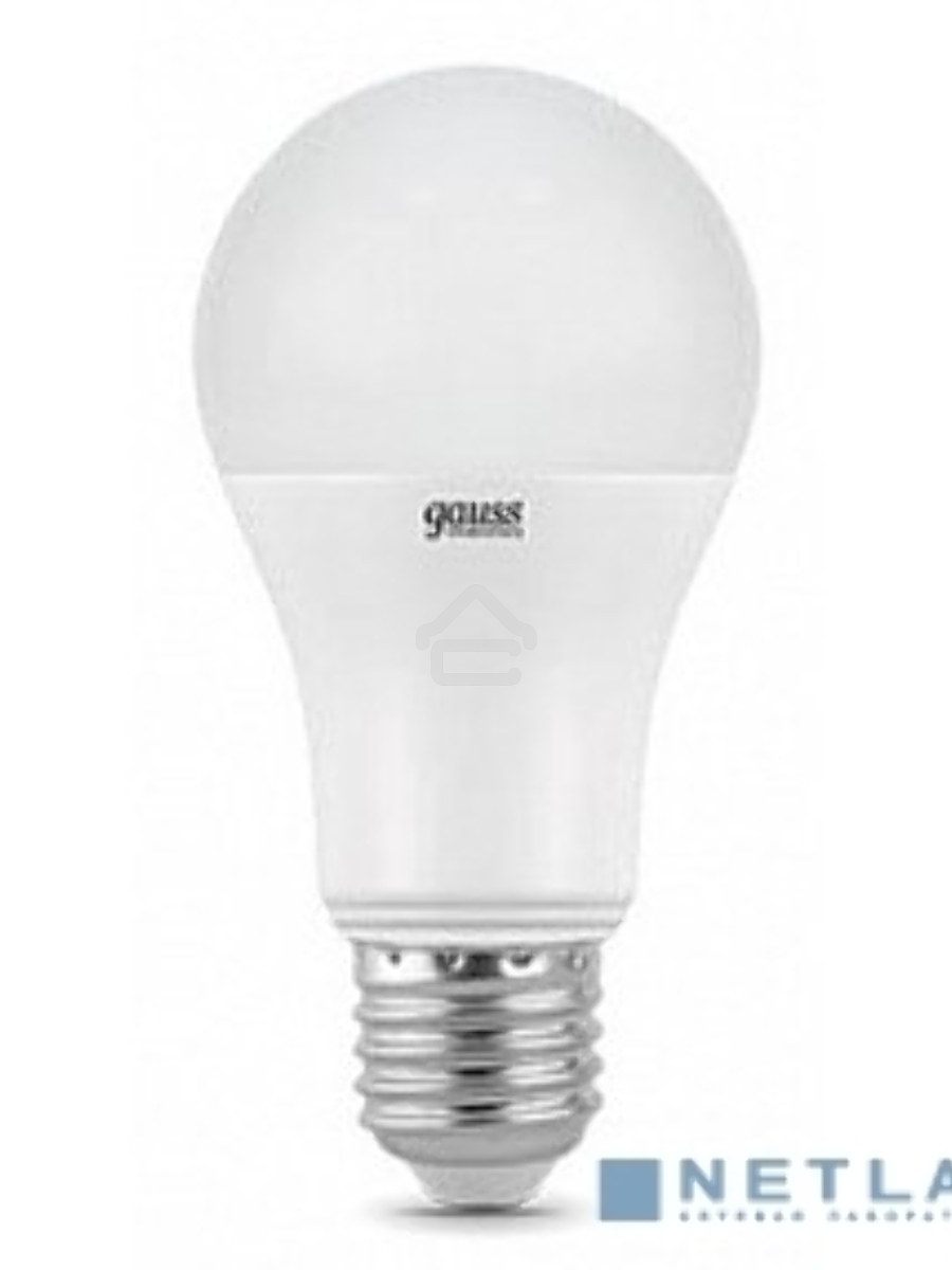 Лампа GAUSS LED Elementary 23239A60 20W E27 6500K 1/10/40 груша
