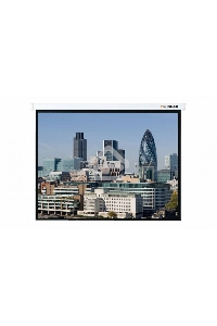 Экран Lumien 305x406см Master Control LMC-100112 4:3 настенно-потолочный рулонный (моторизованный привод)