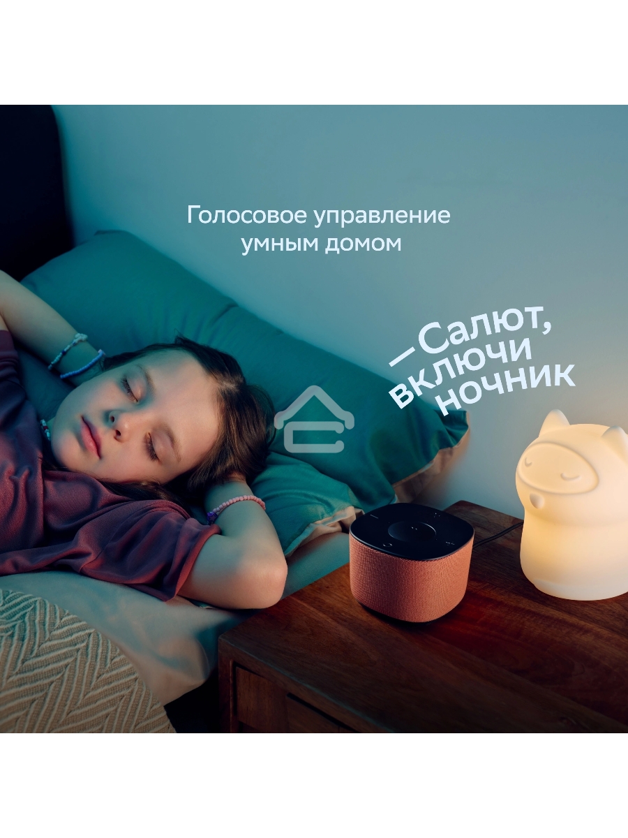 Умная колонка Sber Boom Home SBDV-00171G Салют серый 8W Mono BT/Wi-Fi (без.бат)