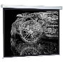 Экран Cactus 213x213см Wallscreen CS-PSW-213x213 1:1 настенно-потолочный рулонный белый