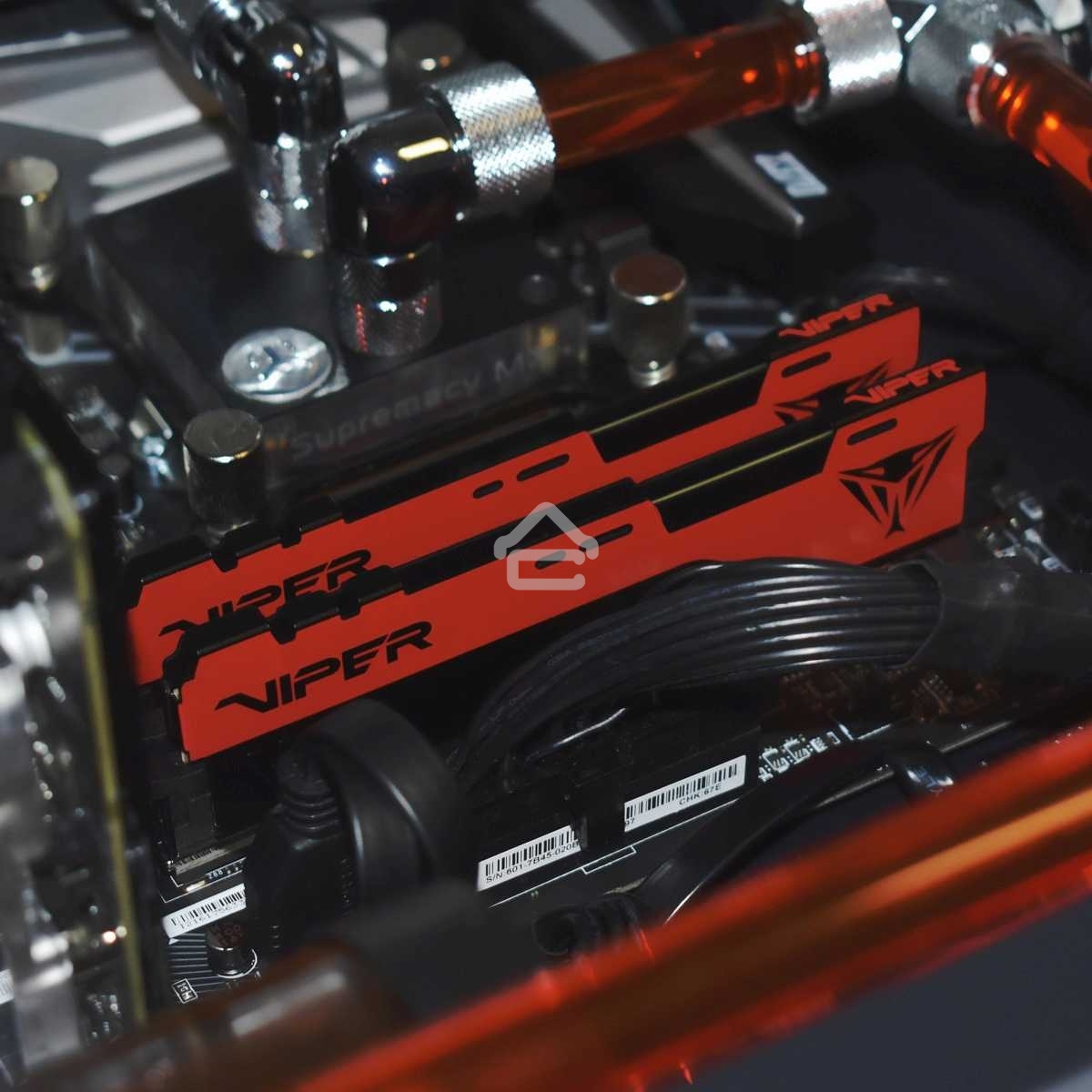 Оперативная память Patriot Viper Elite II, DDR4, 16Gb (2x8 Gb), 3200 MHz, CL18, DIMM, радиатор, красный, черный