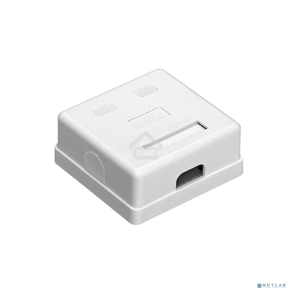 Розетка внешняя двойная ExeGate SM2-RJ45-C5 RJ-45 кат.5/5E UTP Krone/110